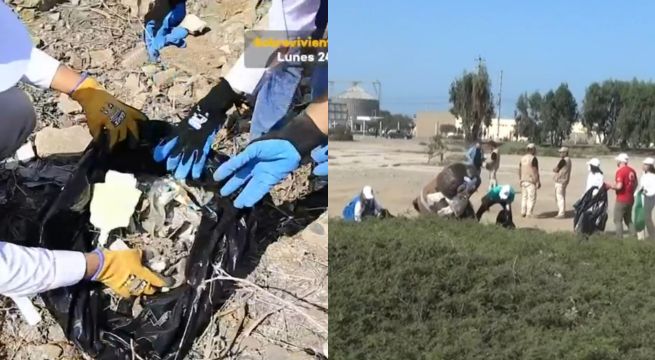 ¡Atención! Voluntarios recogen más de una tonelada de basura en Chan Chan