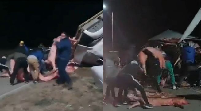 Saquean camión que llevaba más de 20 toneladas de carne