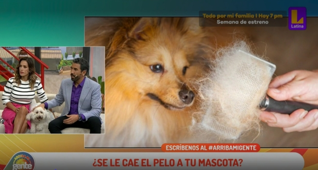 Amor sin fronteras: finlandés y esposa peruana la rompen en Tiktok