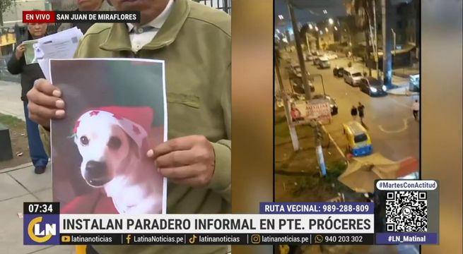 Denuncian a colectivero tras atropellar a un perro y darse a la fuga