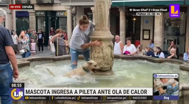 España: perro se baña en pileta ante sofocante calor en España