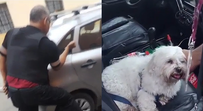 Pueblo Libre: sereno rompe luna de carro y rescata a perrito que se quedó solo