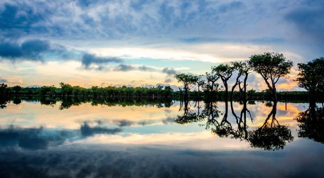 El objetivo central de la Cumbre de la Amazonía es enfrentar los múltiples desafíos que amenazan la salud y la sostenibilidad del ecosistema amazónico.
