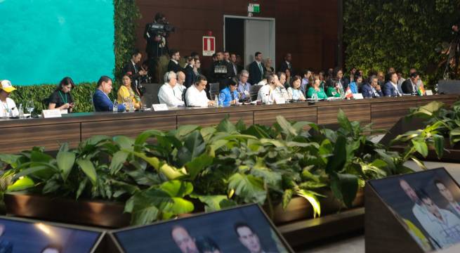 Esta reunión tiene como objetivo crear una declaración conjunta por la preservación de la selva tropical más grande del mundo.
