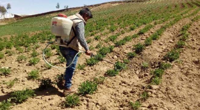 Niño Global: Destinarán S/219 millones para enfrentar déficit hídrico en el Perú