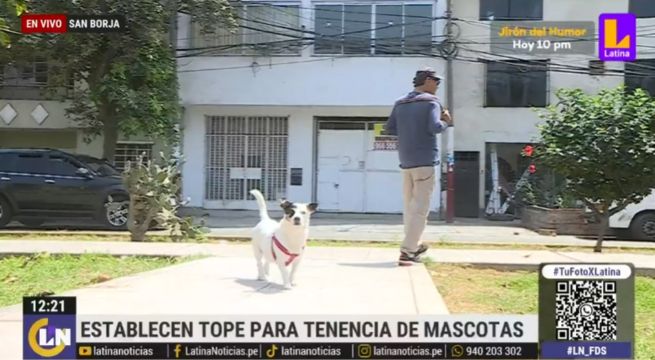 San Borja: ordenanza municipal dispone cuántas mascotas se puede tener en una vivienda