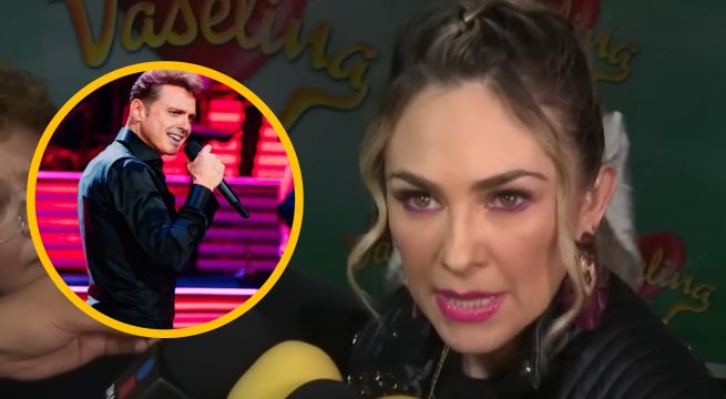Aracely Arámbula explica por qué no quiere “verle la cara” a Luis Miguel