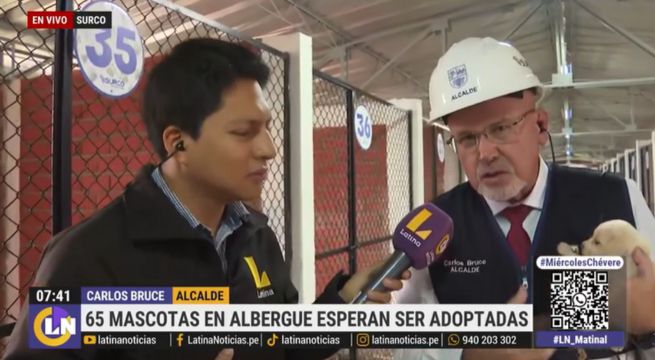 Carlos Bruce protagoniza curioso momento con cachorrito en plena transmisión en vivo 