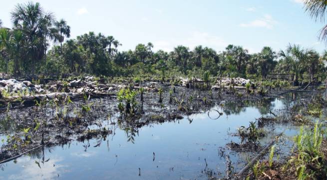Expertos y líderes indígenas plantean el fin de la era de los combustibles fósiles