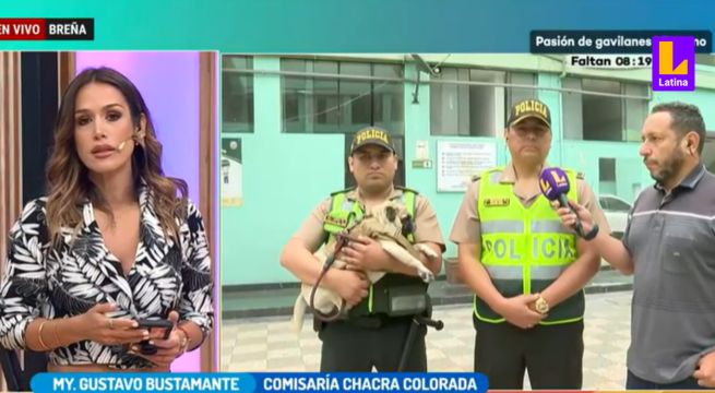 Breña: joven de 22 años fue detenido por la Policía tras golpear a su perro