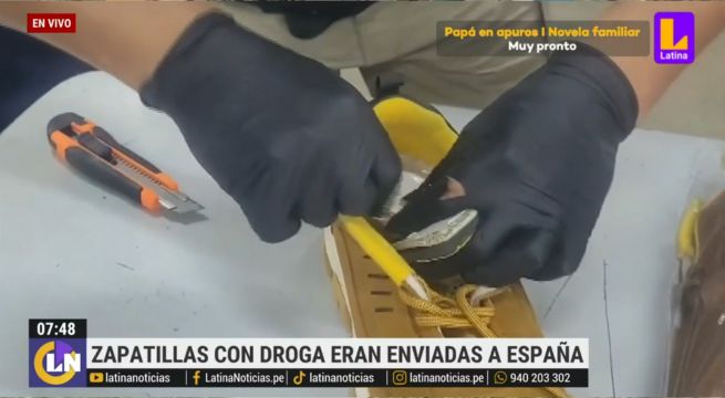 Policía incauta droga escondida en zapatillas de lona