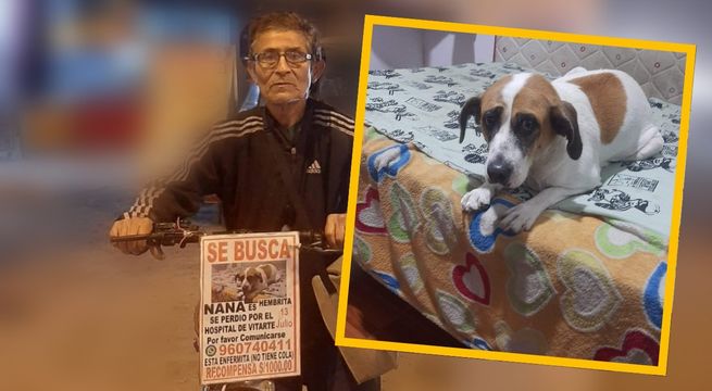 Abuelito busca a su perrita 'Nana' recorriendo Lima en bicicleta