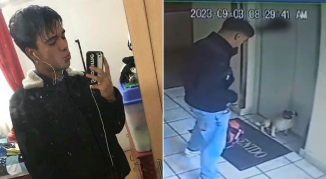 Fiscalía solicita iniciar proceso inmediato contra sujeto que agredió a su mascota en Breña