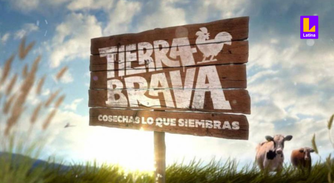 Tierra Brava EN VIVO por Latina: cómo ver ONLINE el programa de convivencia chileno en Perú