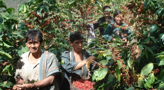 Productos bandera de Piura son promovidos para su crecimiento