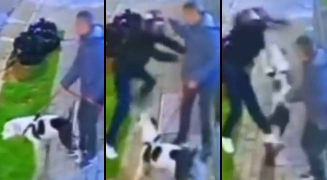 Perro salva a su dueño de inminente robo