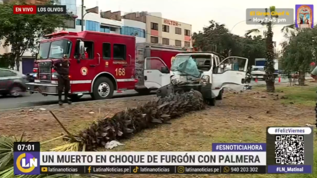 Los Olivos: chofer de furgoneta choca contra palmera y provoca muerte de peatón 