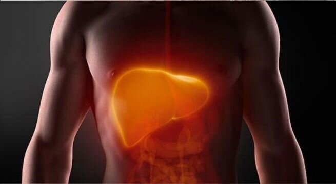 Conoce los alimentos que revierten la condición de hígado flojo