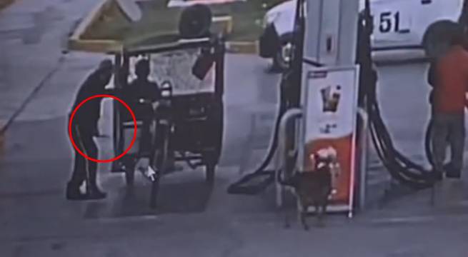 Chimbote: vendedor de pescado mata a perrito que quería jugar con él | VIDEO