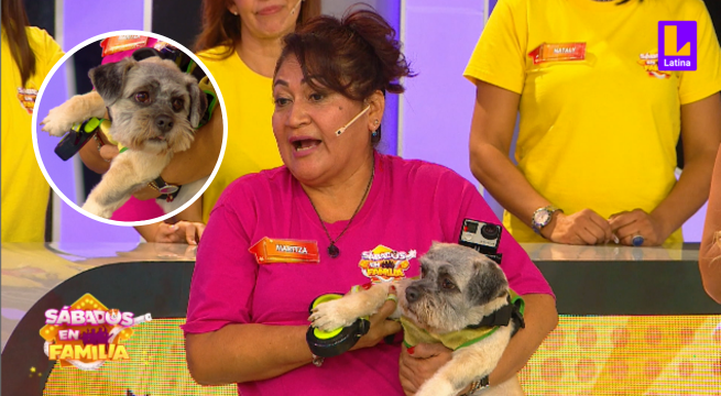 Familia Chui rescató a Max del maltrato animal cuando era cachorro y ahora protege su hogar