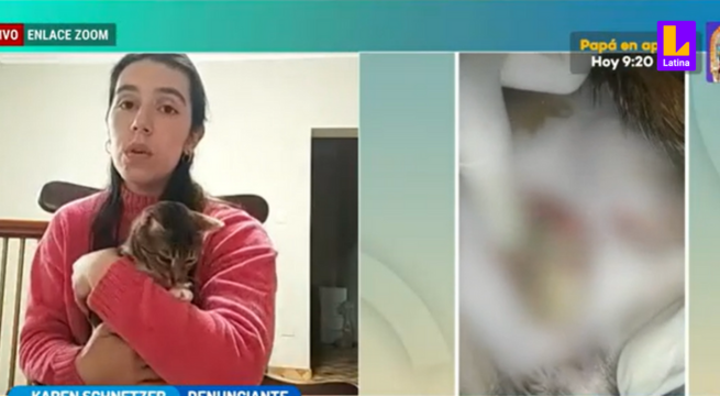 Jesús María: Dueña denuncia que veterinaria quemó pierna de su gata