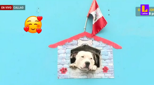 Construcciones 'pet friendly': Conoce a 'Milo', el perrito vigilante más famoso del Callao