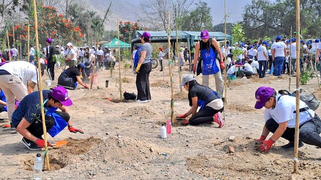 Más de 100 mil árboles son plantados a nivel nacional en un solo día