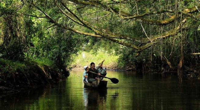 Descubren un animal desconocido en la Amazonía peruana