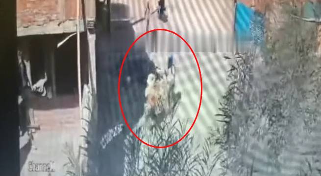 Cámaras captan asesinato a balazos de maestro de obras en Arequipa