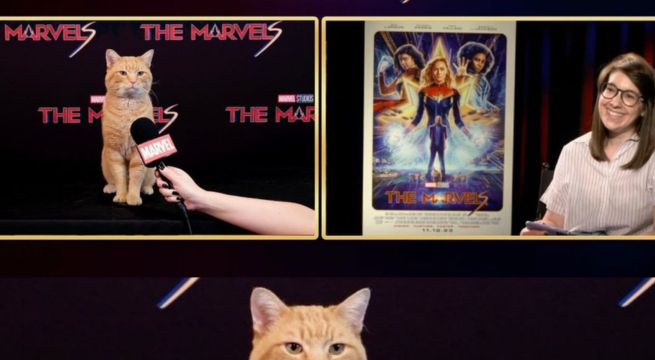 El Felino de Hollywood: Goose de 'The Marvels' 'da' entrevistas ante la ausencia de actores