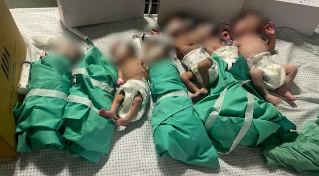 Conflicto en Gaza: Recién nacidos sufren por  desabastecimiento de incubadoras