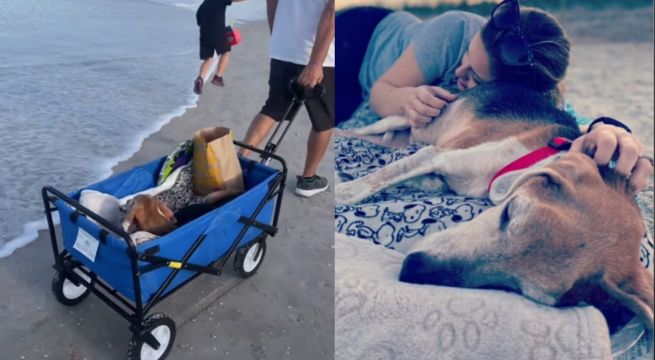 Pareja se despide de su perrito llevándolo de paseo a la playa