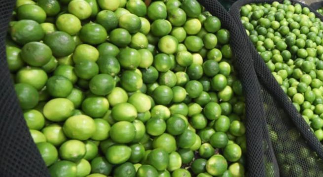 Cuánto está el limón, choclo, cebolla y otros alimentos hoy, según precios mayoristas