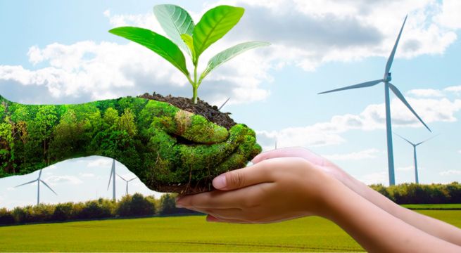 Cambio climático: energía eólica es clave para un mundo más sostenible