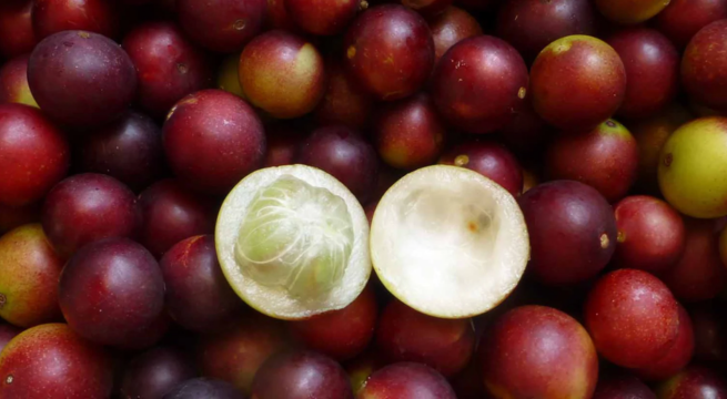 Cuáles son los beneficios para la salud del camu camu