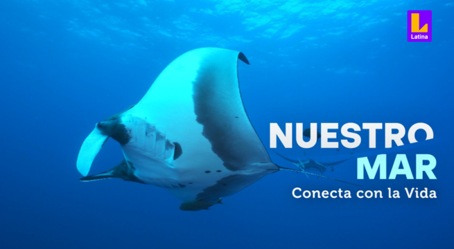 Latina Televisión estrena documental sobre el mar peruano