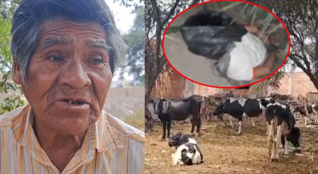 Adulto mayor salva de morir tras estar 5 horas maniatado y con bolsa en su cabeza