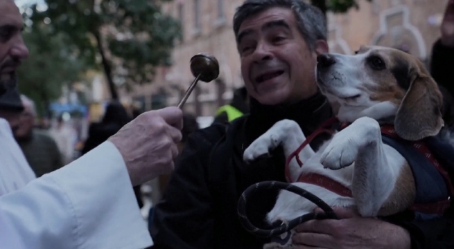 Desde chihuahuas hasta caballos fueron bendecidos en iglesias | VIDEO