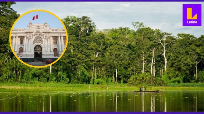 Ley Forestal: ¿de qué trata la norma y por qué generó polémica su promulgación?