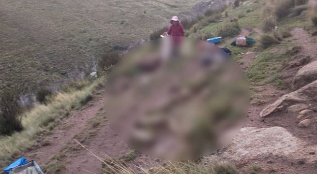 Rayo mata a 22 ovejas y deja grave a mujer en Ayacucho