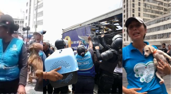 Indignación por operativo municipal: denuncian atropello contra asociaciones de adopción animal | VIDEO