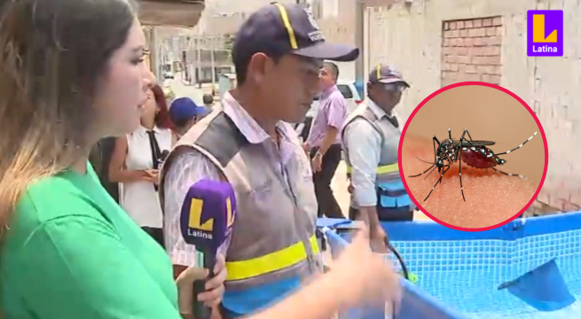 Ventanilla: Fiscalizadores municipales retiran piscinas de áreas públicas ante aumento de casos de dengue
