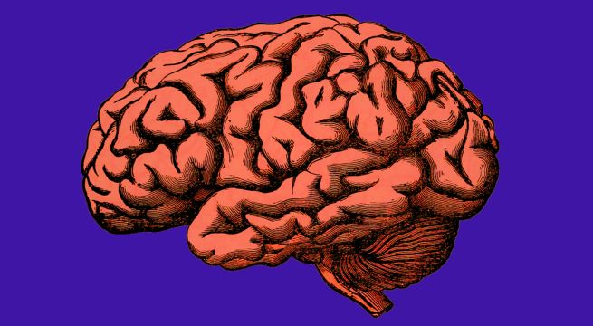 Alzheimer: qué es, síntomas, causas, tratamientos, mitos y verdades de la enfermedad