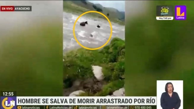 Hombre y su caballo se salvan de morir al intentar cruzar río tras caída de puente | VIDEO