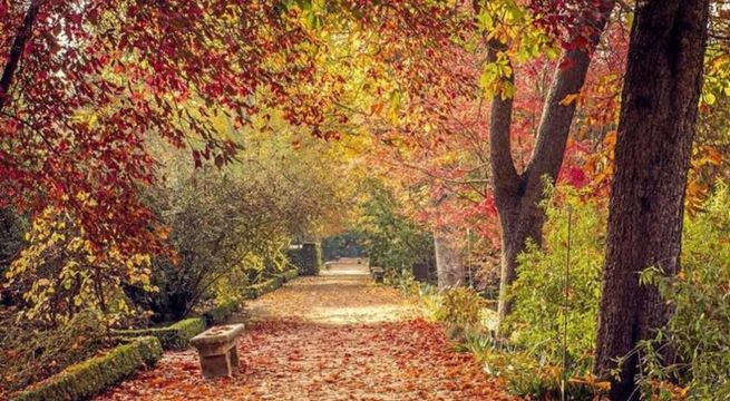 Inició el otoño en Perú: ¿cuál es el pronóstico del Senamhi?