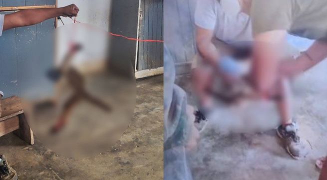 Presuntos miembros de la Marina de Guerra del Perú son denunciados por maltrato animal