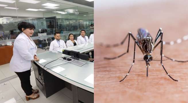 Teledengue: Seguimiento de pacientes infectados a través de videollamadas