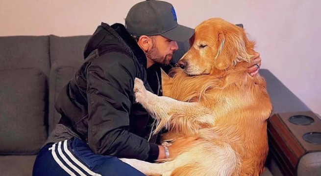 Perrito muere tras ser enviado en vuelo equivocado: estuvo en jaula a 36 grados