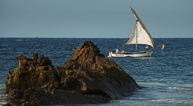 Gobierno oficializa la creación de la Reserva Nacional Mar Tropical de Grau