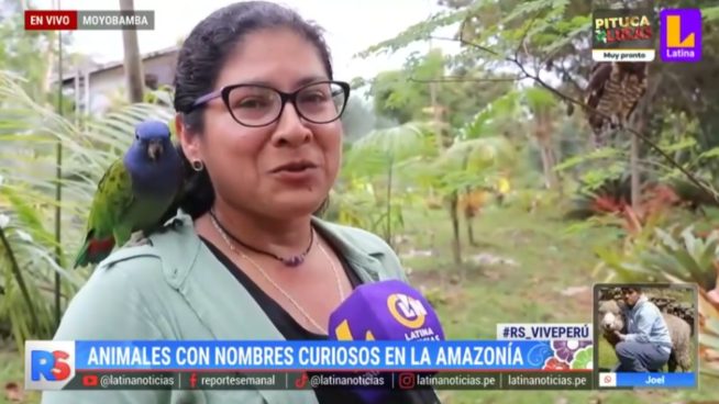 Reporte Semanal: los animales con los nombres más peculiares en la Amazonía | VIDEO